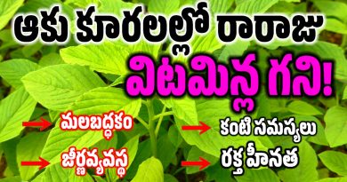 Thota kura - తోట కూర ఉపయోగాలు