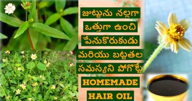 Gaddi Chamanthi - గడ్డి చామంతి