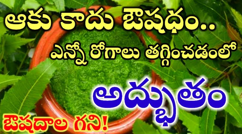 Neem Leaves Benefits
