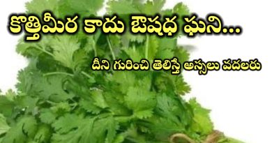 Coriander Benefits